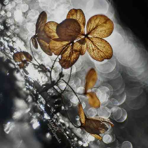 فرزین کاظمی حالم خرابه